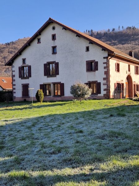 Chevaux au soleil - photo 3