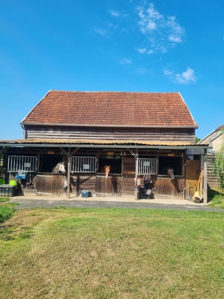 EIRL Les Ecuries d'Aéla - photo 1