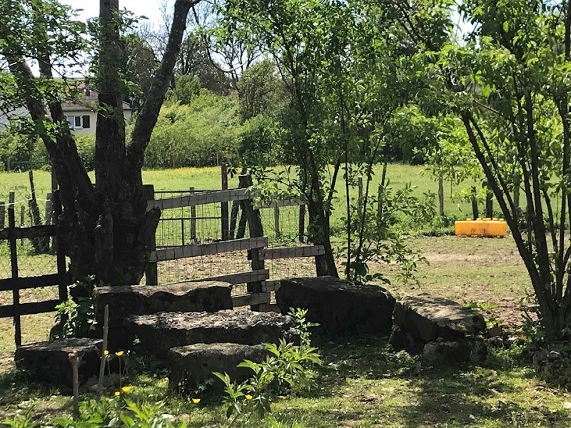Chambres d'hôtes La Ferme aux Chevaux - photo 3