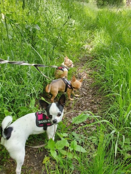Pension de la Tour Du Bailly - photo 1