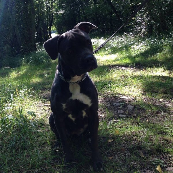 Pension de la Tour Du Bailly - photo 2