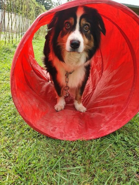 Pension de la Tour Du Bailly - photo 3