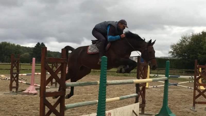 Ecuries Des Noyes Eurl Thiebaut