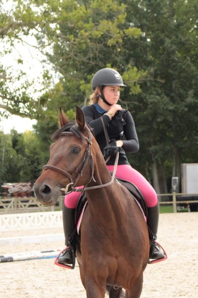 Ecuries Des Noyes Eurl Thiebaut - photo 2