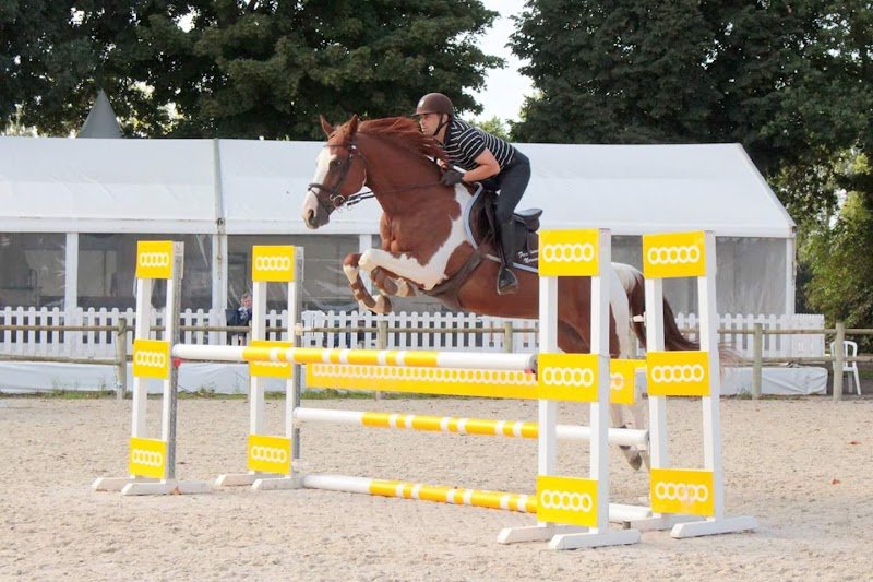 Ecuries Des Noyes Eurl Thiebaut - photo 3