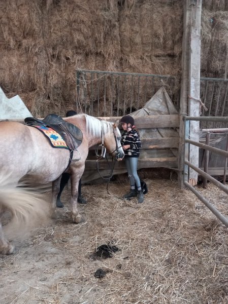 Les Ecuries du Château