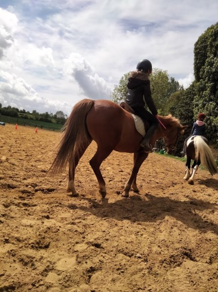 Les Ecuries du Château - photo 3