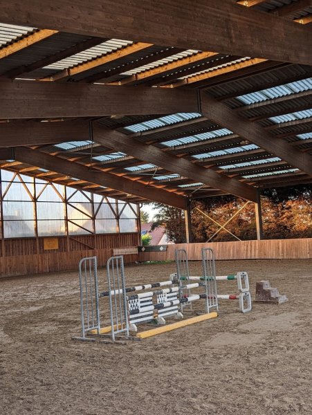 Ecurie Gwénaël GARO - Elevage du Cyan - photo 1