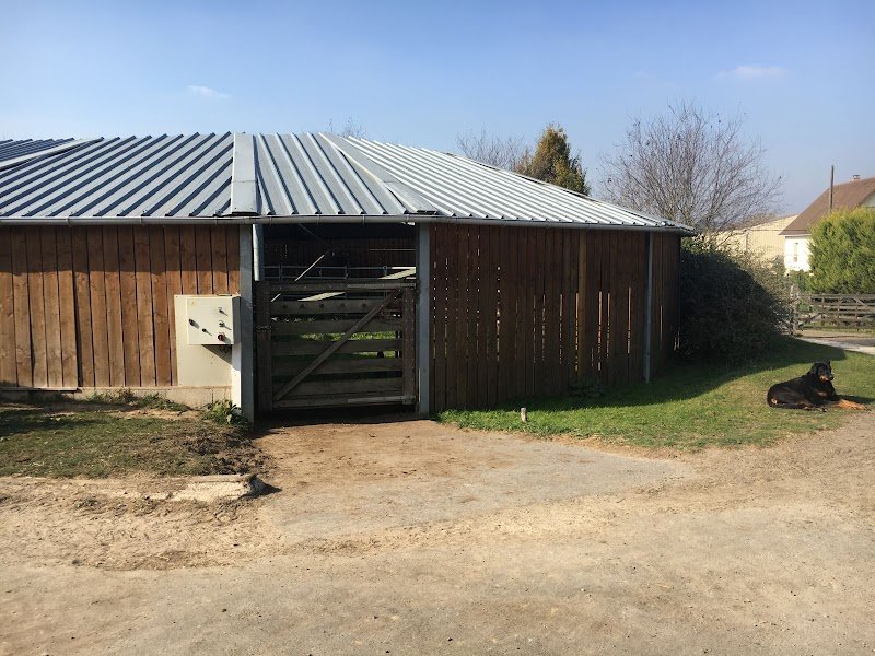 Ecurie Gwénaël GARO - Elevage du Cyan - photo 2