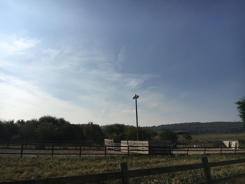 Ecurie Gwénaël GARO - Elevage du Cyan - photo 3