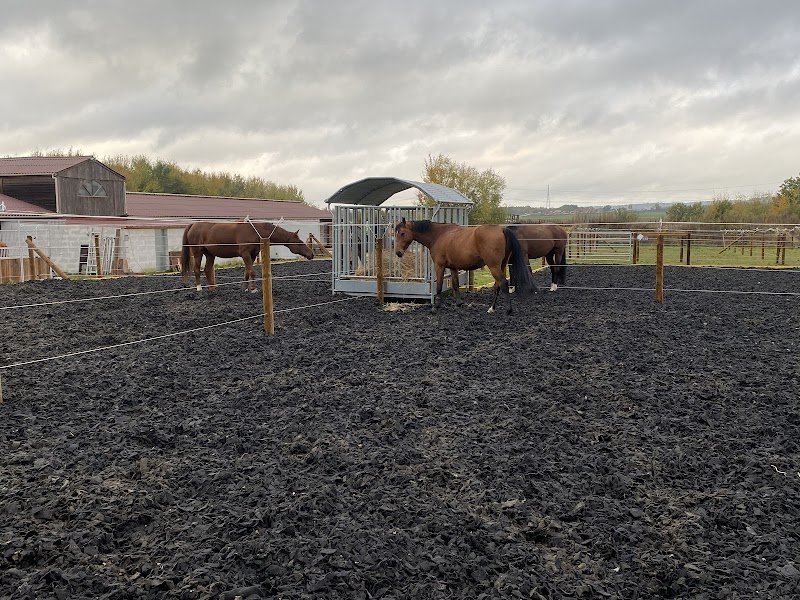 ECURIE DES COLIBRIS - photo 3