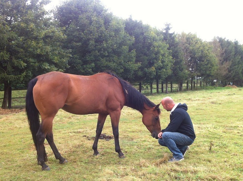 Haras du Bois Courtin HBC - photo 1