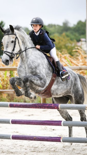 Haras du Bois Courtin HBC - photo 2