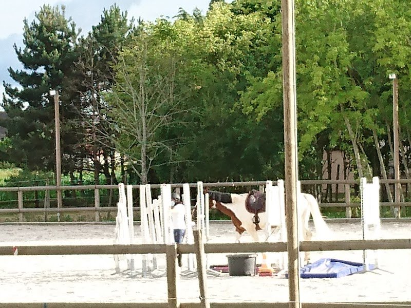 Haras du Bois Courtin HBC - photo 3