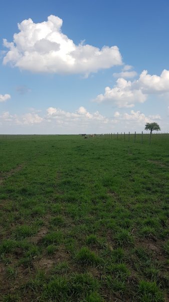 Pension pour chevaux Alain Matigny - photo 3