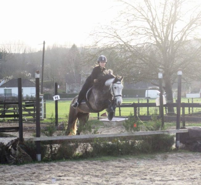 Les Écuries de la Vallée de Chanvre- EVADEC- - photo 1