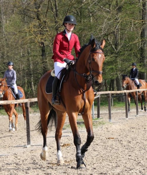 Écurie Caroline Dieudonné - Haras de Launay - photo 2