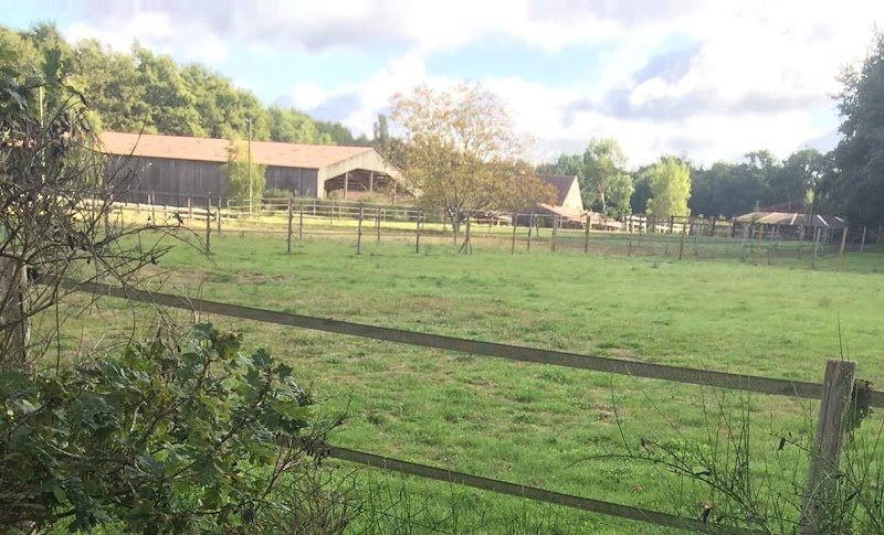 Les Ecuries de la Roche Turpin - photo 1