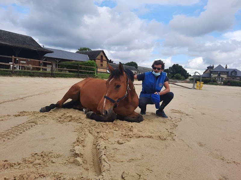 Ecurie Du Mont Houel - photo 2