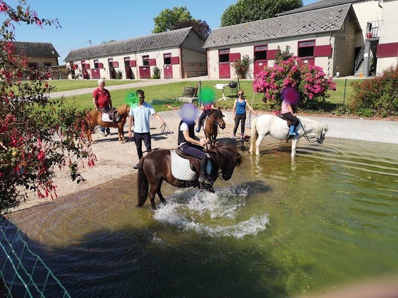 Ecurie Du Mont Houel - photo 3