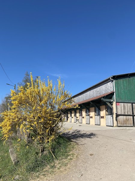 les Écuries de Bocquegney