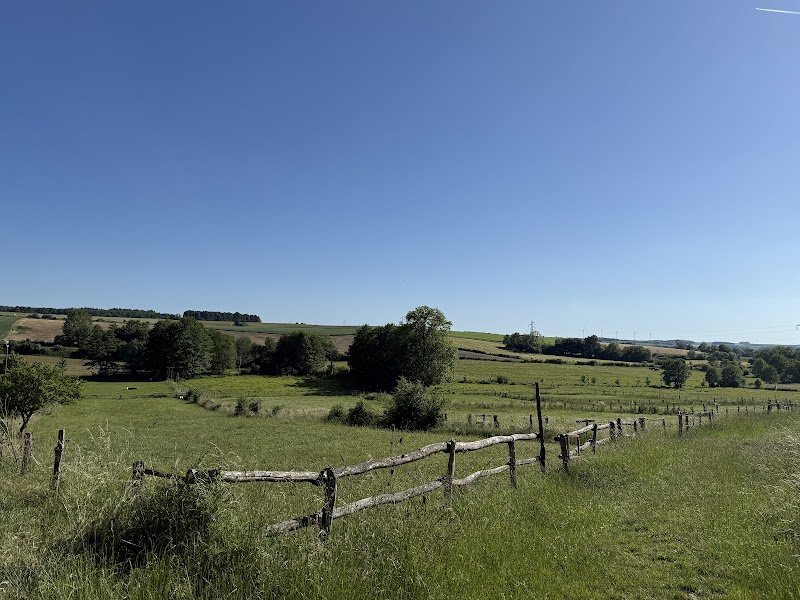 les Écuries de Bocquegney - photo 3