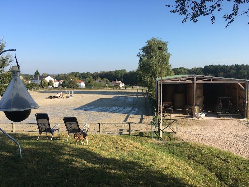 Ecuries du lac - photo 2