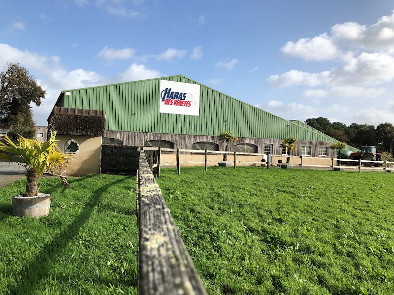 Écurie, élevage et pension pour chevaux - Haras des Vénètes - photo 1