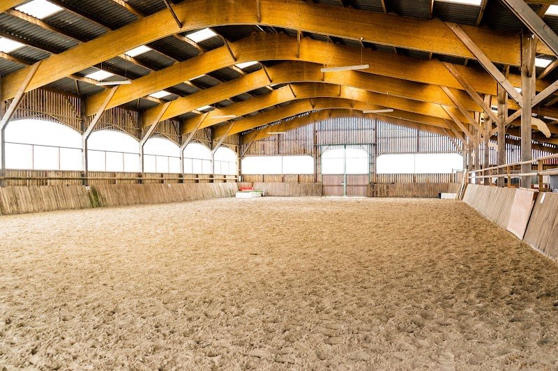 Écurie, élevage et pension pour chevaux - Haras des Vénètes - photo 2