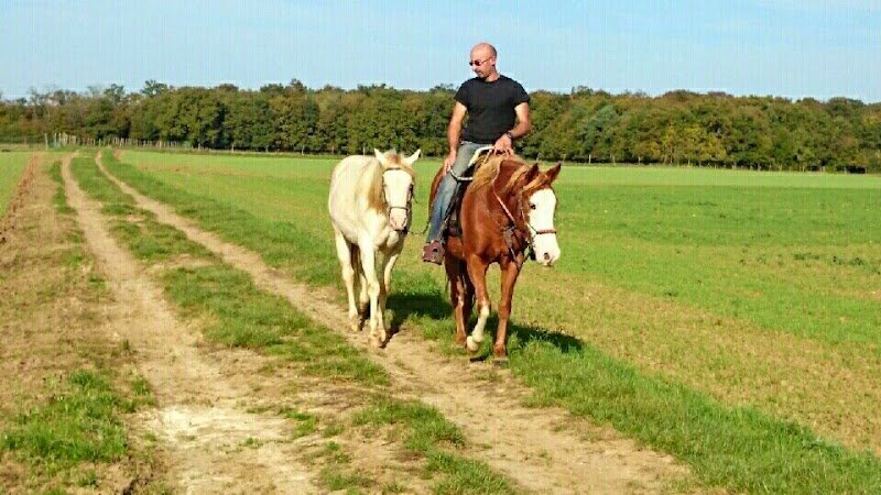 Ecurie Deneuville écuries deuncal - photo 1