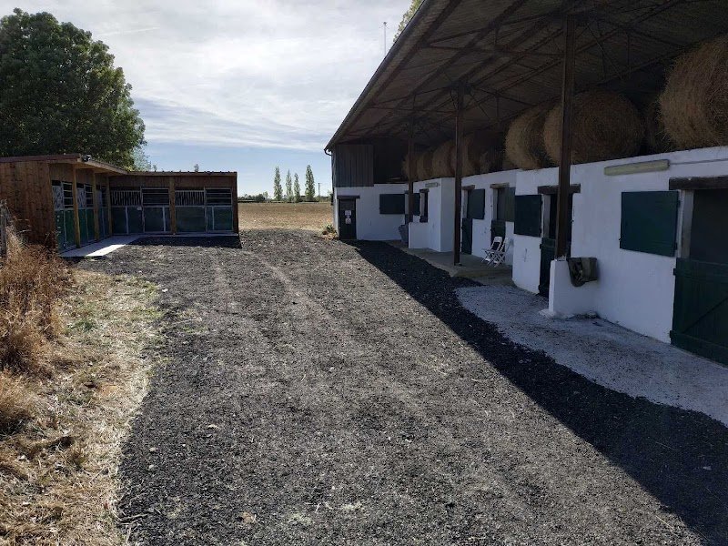 Ecurie Deneuville écuries deuncal - photo 3