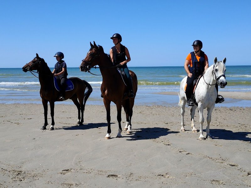 LES ECURIES DU MIRADOR