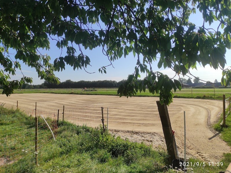 Ecuries des Absynts - Pension équestre - photo 2