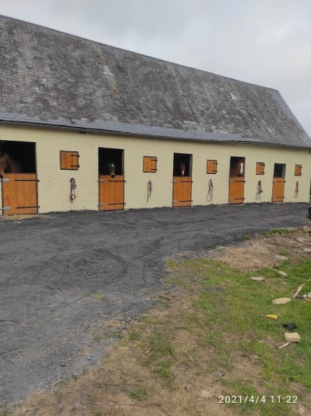 Ecuries des Absynts - Pension équestre - photo 3