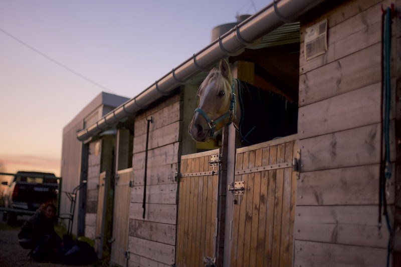 Ecurie du Fief Malzais - photo 1