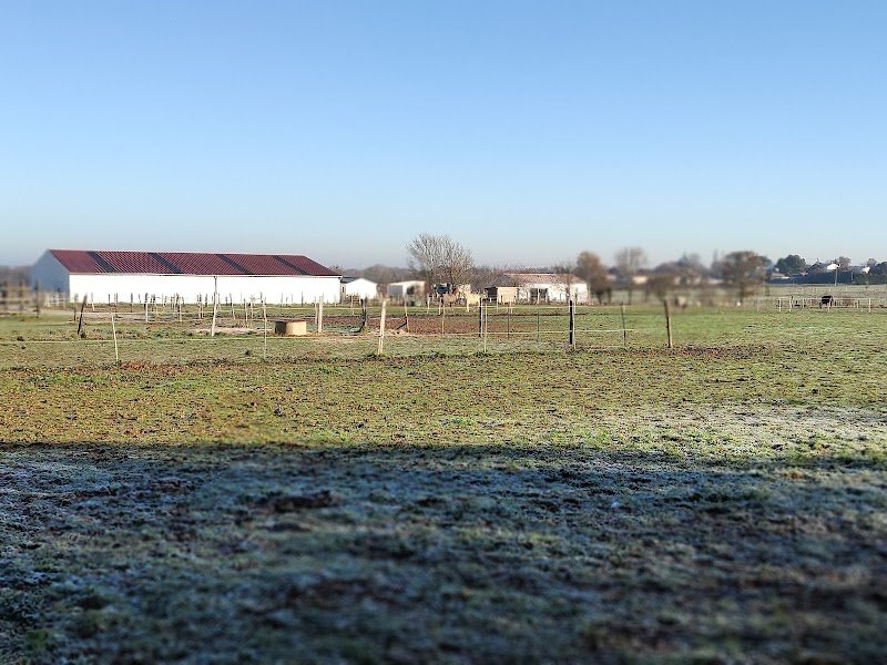 Ecurie du Fief Malzais - photo 2