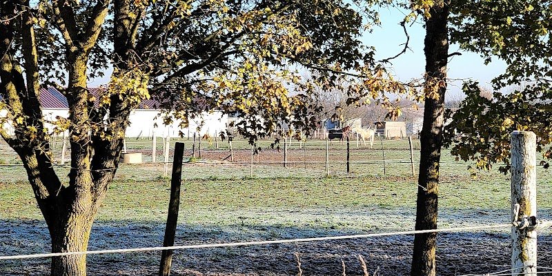 Ecurie du Fief Malzais - photo 3