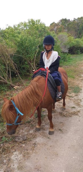 Centre Équestre La Petite Ecurie - photo 1