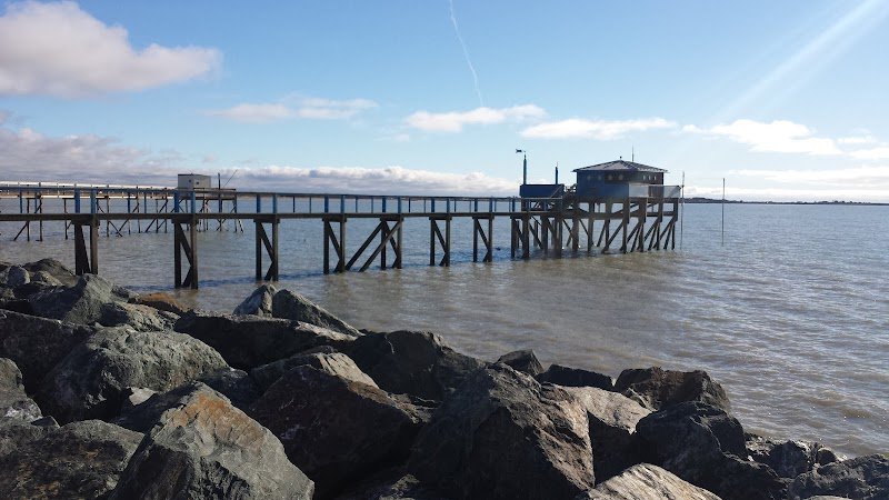 Centre Équestre La Petite Ecurie - photo 2