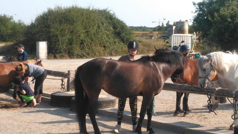 Centre Équestre La Petite Ecurie - photo 3