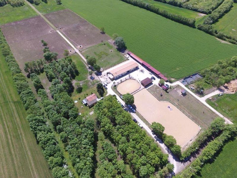 Les Écuries des Palmiers