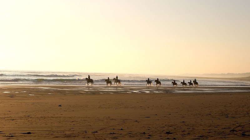 ECURIES DU MOULIN MOREAU - photo 1