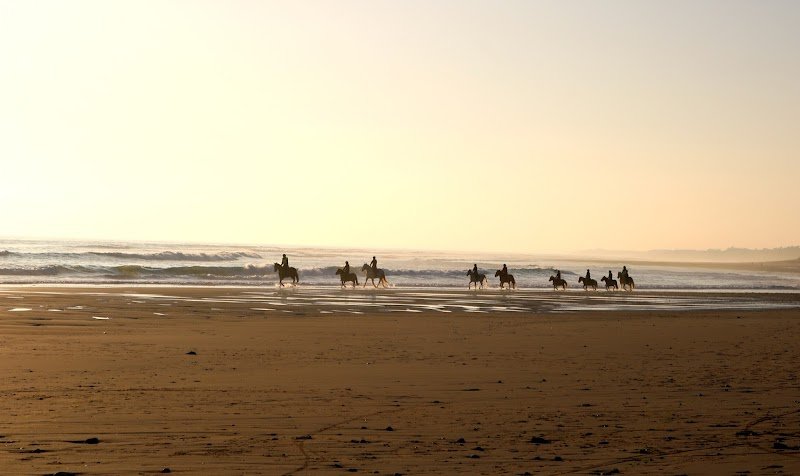 ECURIES DU MOULIN MOREAU - photo 2