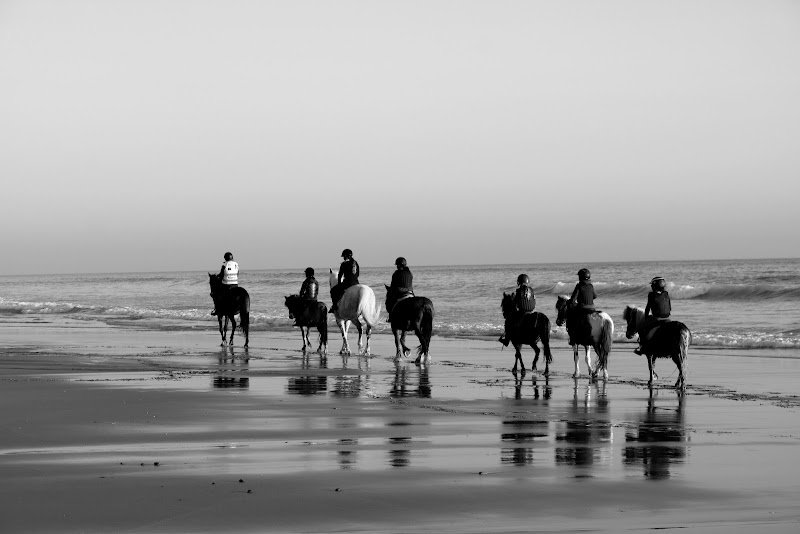 ECURIES DU MOULIN MOREAU - photo 3