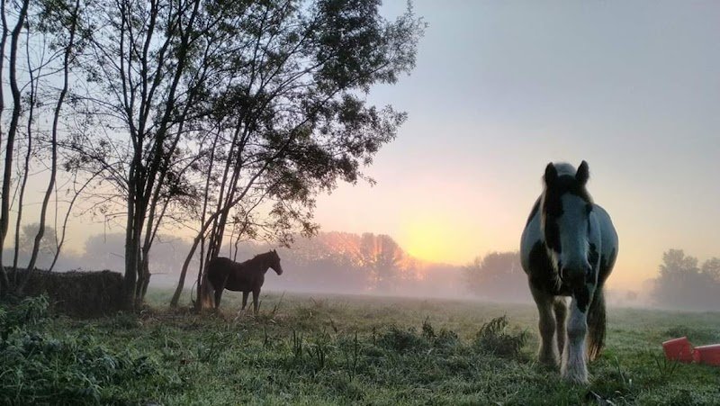 Pension du Bois Caillé - photo 1