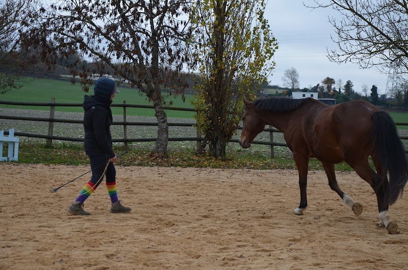 Pension du Bois Caillé - photo 2
