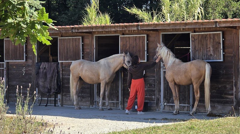 Écuries de Loudjil - photo 2