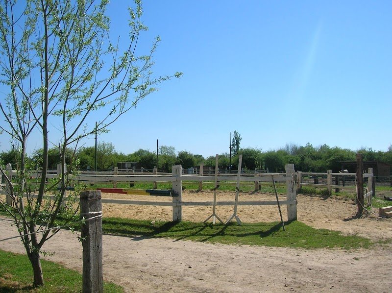 Centre Équestre Le Marais en Selle - photo 2