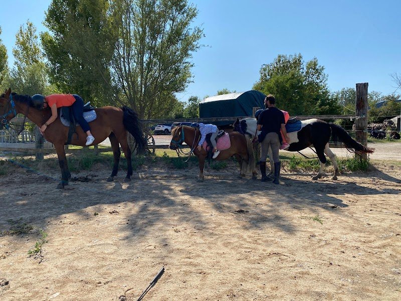 Centre Équestre Le Marais en Selle - photo 3