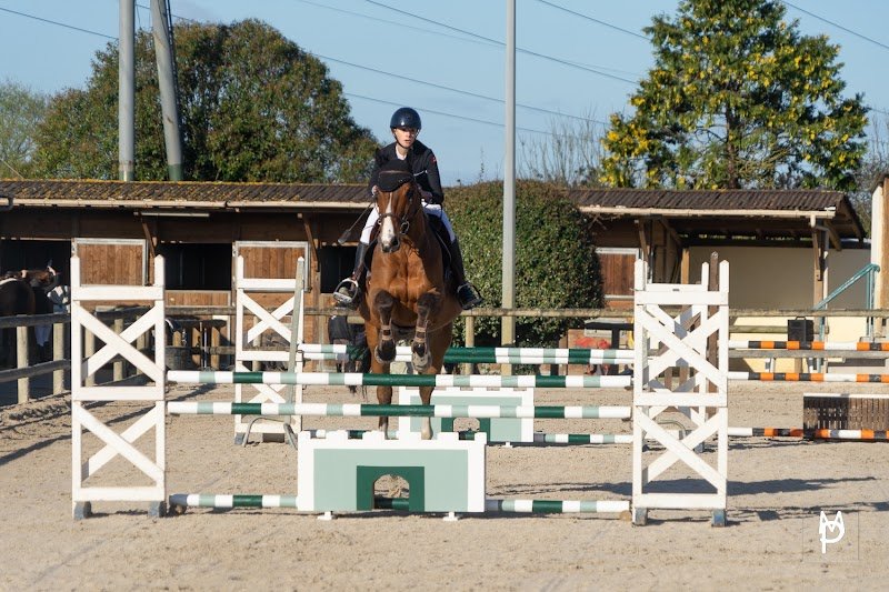 Poney Atlantic Loisirs Mireuil - photo 2